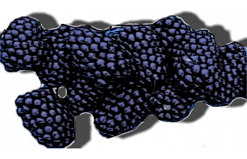 Прайм арк 45