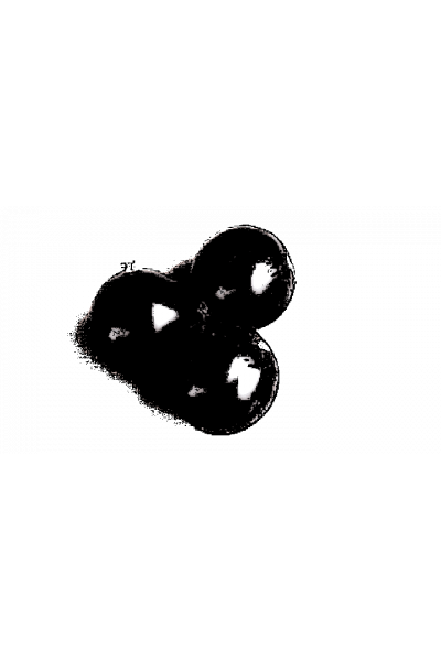 ГФ 6-14-145 Смородина чёрная